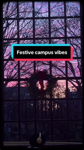 Festive Campus Vibes at Harvard University