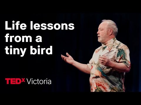 The miraculous life of a hummingbird | Eric Pittman | TEDxVictoria