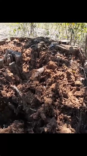 Lessons learned from a Tannerite test