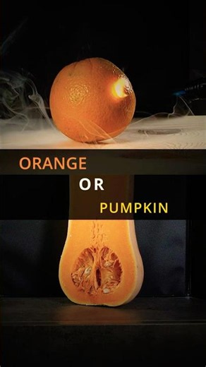 Orange Or Pumpkin Under The Microscope?