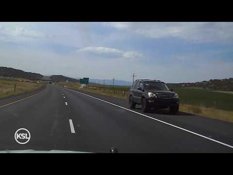 POLICE CHASE: Ankle monitor wearer drives wrong way on freeway, gets rammed by patrol car