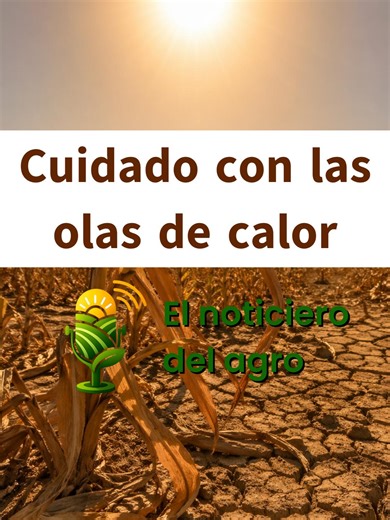Las olas de calor amenazan la agricultura global. Los cultivos, ganado y pesca pierden productividad. FAO y OMM alertan sobre riesgos climáticos graves. Mil millones de personas dependen del campo hoy. #calor #fao #cultivos Con información de Yahoo! Noticias e Investing. Suscríbete a Podcast Agricultura en Spotify: https://open.spotify.com/show/3pEDWCjQjgWPlB6jaJeetq?si=6eebbb5ad28d42af
