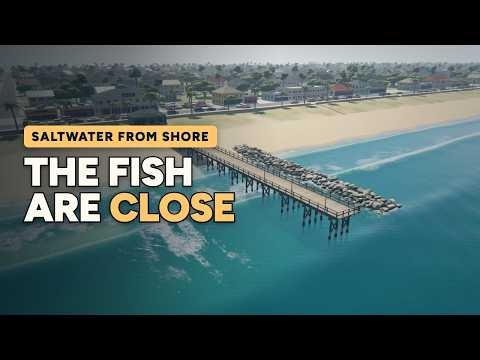 How to Find Fish in Saltwater: The Complete Guide