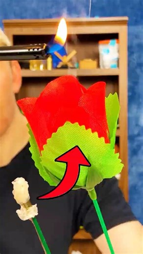 what a Fire Rose looks like
