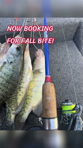Fall bite is on! #crappie #fishing#outdoors#fishingguide