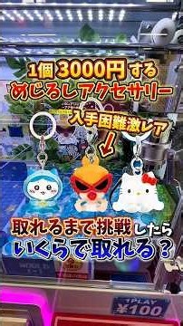 【ゲーセン】超激レアのめじるしアクセサリーがクレーンゲームに入っていたので、取れるまで挑戦してみた🔥
