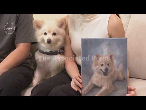From Corporate Life to Canvas: Self-Taught Artist Turns Love for Pets Into Art
