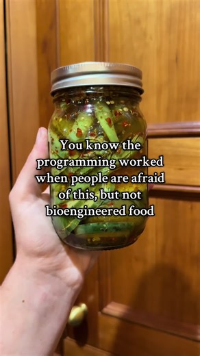 here come the botulism fear mongers 🫙 nothing gmo or bioengineered in these jars or freezer 🥩🌽 #farmstand #homesteading #gardentok #huntingtiktok #selfsufficiency