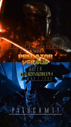 Kwei Predator vs Acheron Queen Xenomorph #Predator #yautja #alien #Xenomorph #edit