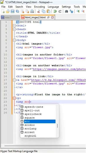 🖼️ HTML Images Part 2: How to Display Pictures on Web Pages #frontendcourse #html5 #shorts #coding