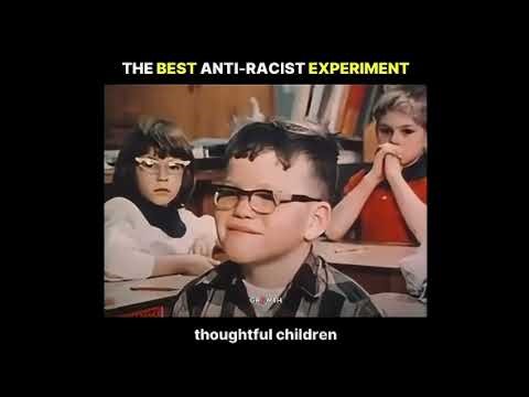 Best anti-racist class experiment