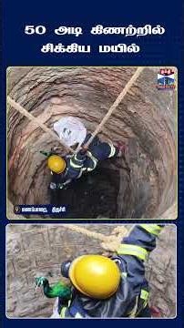 PeacockRescue | Manapparai | Tiruchirappalli | FireAndRescue | ForestDepartment | WildlifeRescue