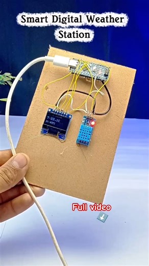 Easy Science Project Ideas | New Science project