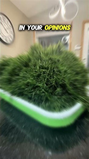 The One Aquarium Plant That Refuses To Die