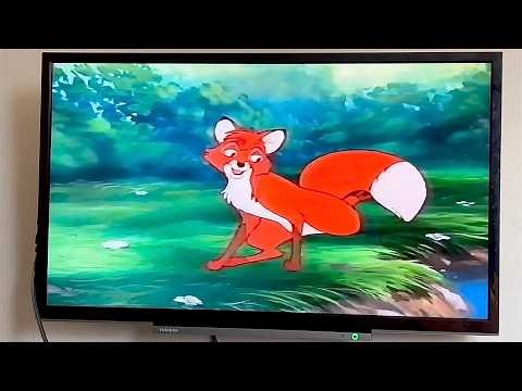 The Fox And The Hound: Adult Tod (iPhone) (Slow) (8)