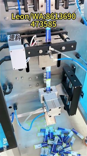 Blueberry Powder Sachet Packing Machine | SKTB-120Q Automatic Powder Packaging Solution