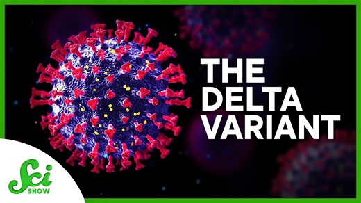 What you need to know about the Delta variant