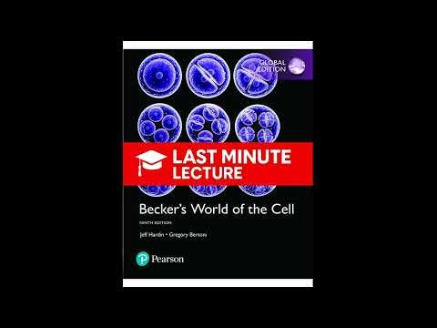 Signal Transduction I: Electrical & Synaptic Signaling | Ch 22 – Becker’s World of the Cell (9th)