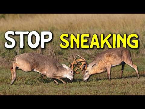 Why I Never Deer Hunt Without Antlers