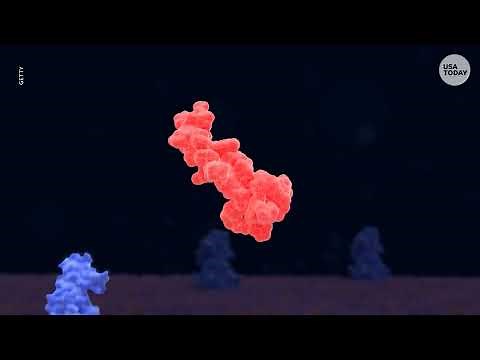 FDA approves Wegovy GLP-1 weight loss daily pill