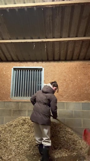 Embracing My Passion for Java Programming