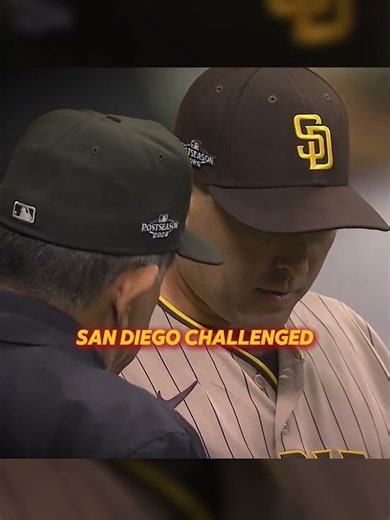 A Fly Ball Hit the Roof—Then Became an Out 🤯
