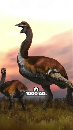 3 most bizarre eggs you have never seen before!