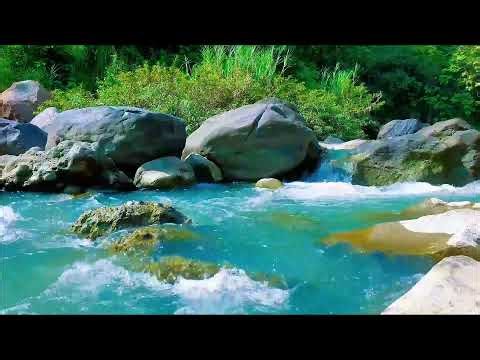 Calming River Stream Live 24/7 – Gentle Water Flow & Green Noise for Sleep & Relaxation