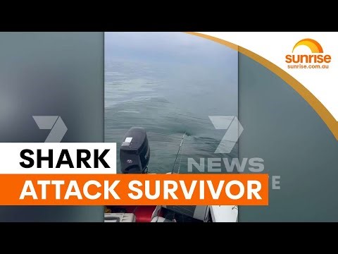 Teen survives shark bite at Middleton Beach | Sunrise