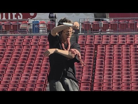 260425 Body to Body Soundcheck BTS Arirang Tour Tampa Day 1 Concert Fancam Live 방탄소년단 콘서트