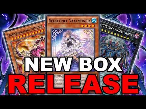 NEW BOX REVIEW & OPENING! D/D/D, VAALMONICA, XENO & MORE! (Yu-Gi-Oh! Duel Links)