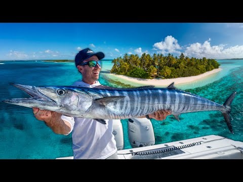 3 Days Chasing Island Giants! (Catch Clean & Cook)