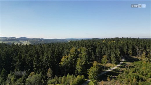 Niederösterreich heute vom 13.05.2026