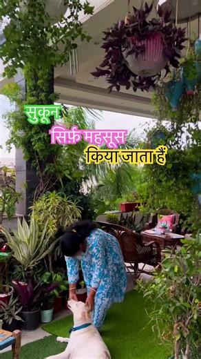 #garden #plants #gardeningtips #gardening #homegarden #balconygarden #flowers #vertical