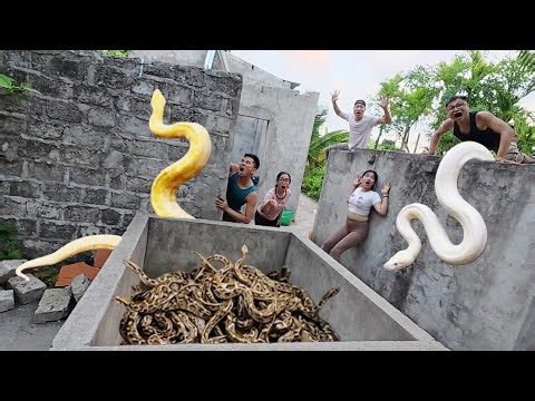 Brave soldiers used high-tech snake detectors to locate the giant python's nest.