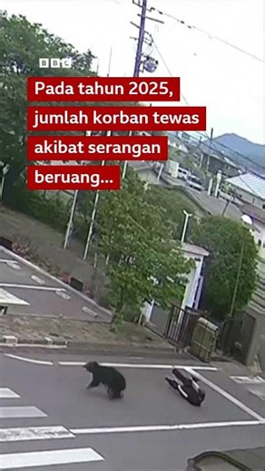 Beruang menyerang beberapa pekerja di pabrik baja di Fukushima, Jepang - BBC News Indonesia