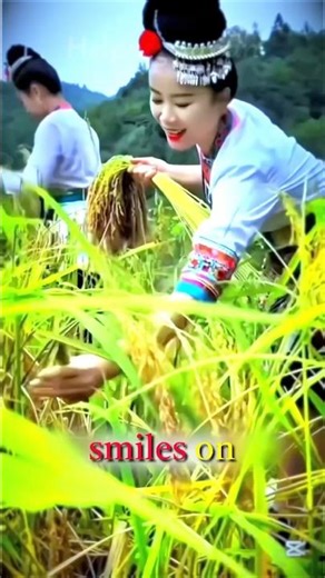 The Journey of Rice! 15-Day Rice Time-Lapse. The Secret Life of a Single Grain of Rice! 🌾