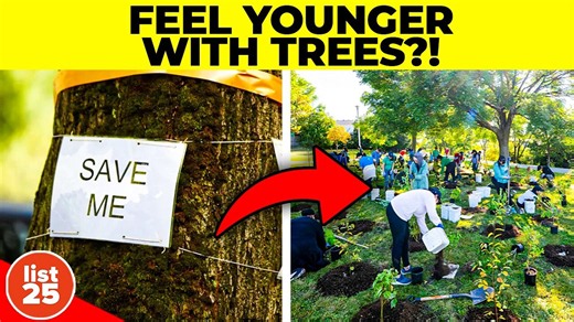 25 strange facts that will put your knowledge to the test