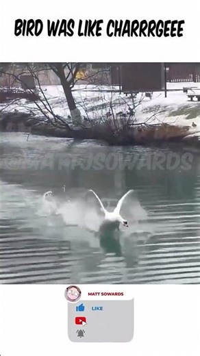 Epic Fail Compilation 😂 Laugh Out Loud Moments #Hilarious #Fails #Relatable #Comedy