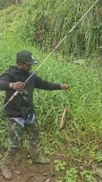 മീൻ പിടുത്തം 5 kg ന്റെ ബ്രൽ