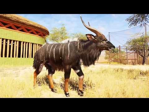 Planet Zoo 2 - Nyala Gameplay (PS5 UHD) [4K30FPS]