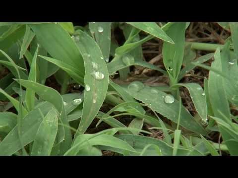 Raleigh dealing with water crisis as drought persists