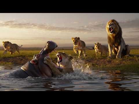 Wild Africa: Silence Before the Strike | PREDATORS EPISODE