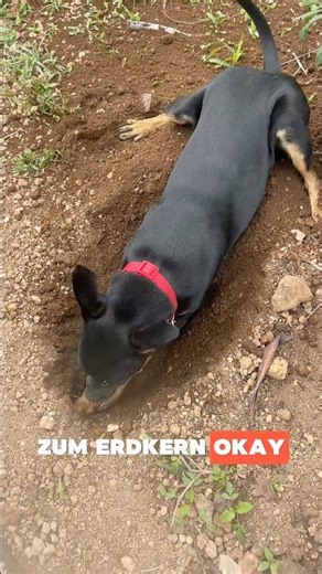 Finca life on Bitcoin Island ☀️☀️ Make a decision - get off your butt ‼️