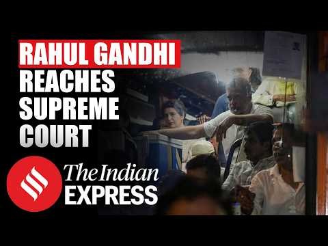 Rahul Gandhi, INDIA Bloc MPs File Petition in Supreme Court Against CEC Gyanesh Kumar