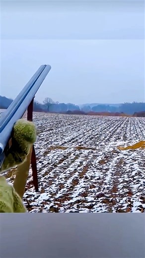 🦊❄️ One-Shot Winter Fox Hunting in the Snow! #FoxHunting #WinterHunting #Fox #SnowHunting #Wildlife