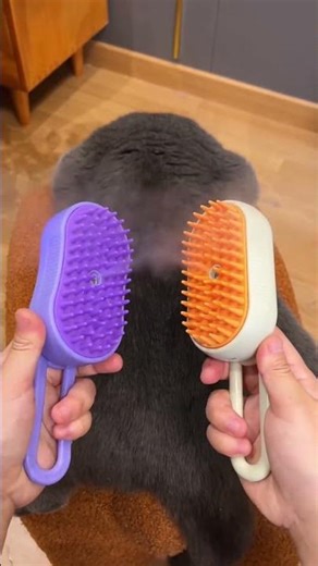 This Cat REFUSES Bath Time 😾💦 (Wait for the Solution!)