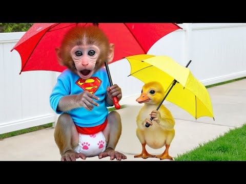 🐒🐬Monkey Baby Bon Bon and the puppy face off against the shark monster after a massive earthquake