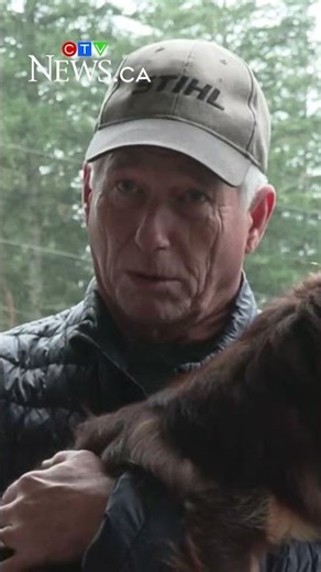 Cougar encounter caught on camera