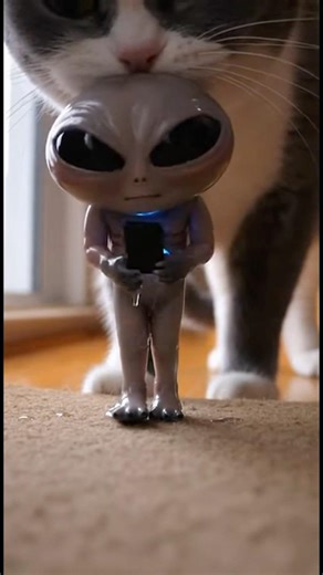 Cat Caught an Alien and Clearly Didn't Care What It Had to Say 💀 #alien #shorts